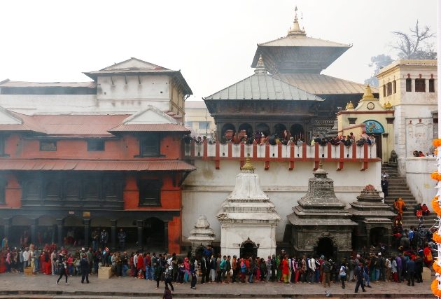 पशुपतिमा पाँच हजार विरुवा रोपिने
