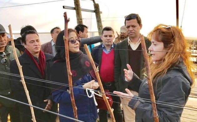 एनआरएन पोर्चुगलले नेपाली कामदारका लागि चेतनामुलक कार्यक्रम गर्ने