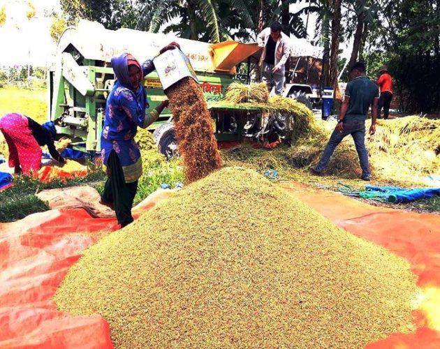 धानको मूल्य तोकियो, बिक्री भएन