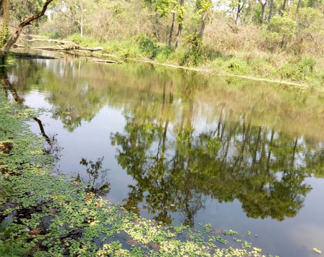 माडीका जनताले उत्पादित सामग्री निकुञ्जबाट ल्याउन पाउने