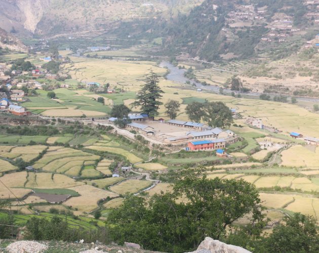 सिंजा उपत्यकामा खेती