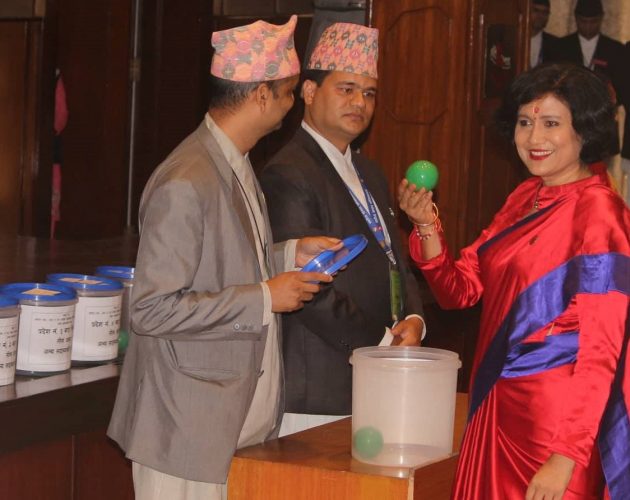 राष्ट्रियसभामा अर्थमन्त्रीको पदावधि दुई वर्ष, वलीलाई चारवर्षे चिट्ठा