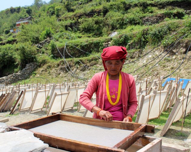 कागज उद्योगमा महिला…