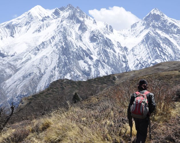 यार्सागुम्बाको खोजीमा