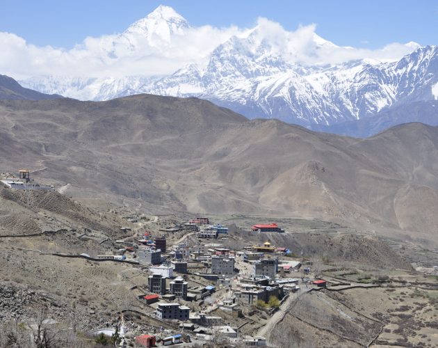 निलगिरि…