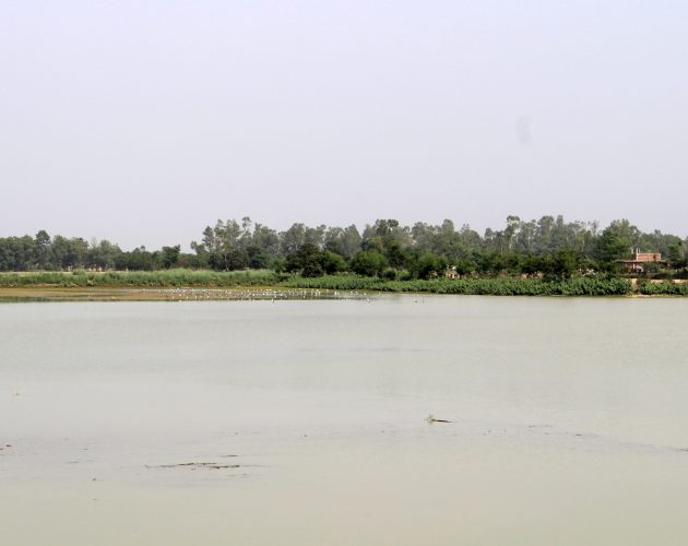 संरक्षण नहुँदा…
