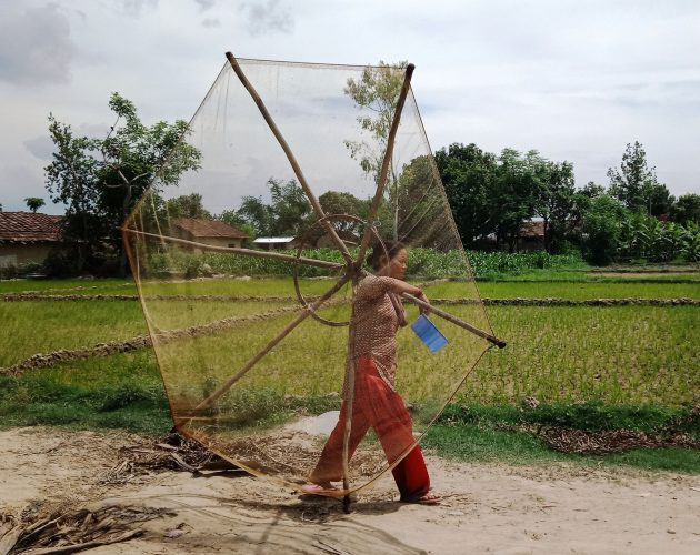 माछा मार्न