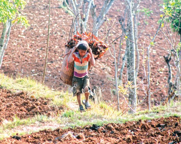 रहर कि बाध्यता