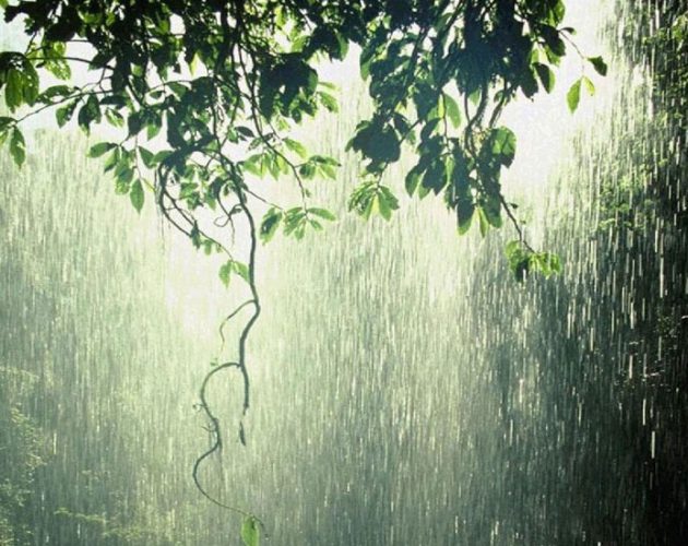 हिलोसहितको वर्षाका कारण मानिसलाई वाकवाकी र रुघाखोकी