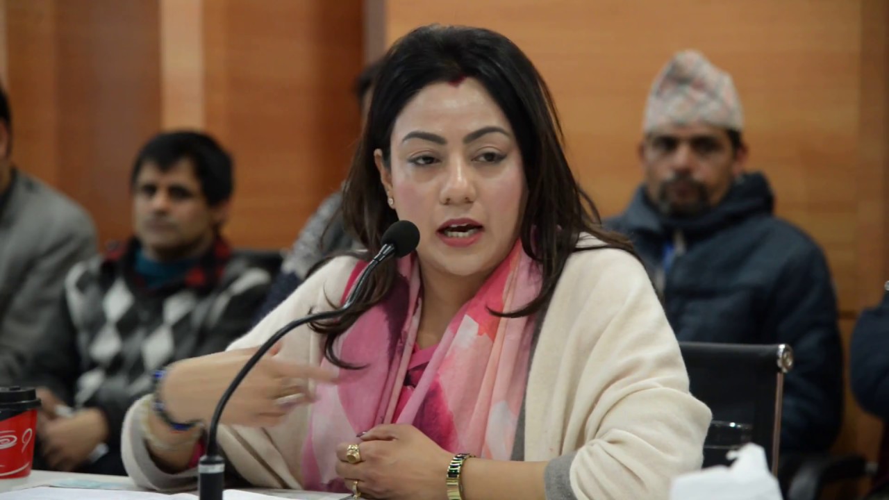 यी हुन् आफ्नै पौरखले उद्यममा चम्केका नेपाली महिला