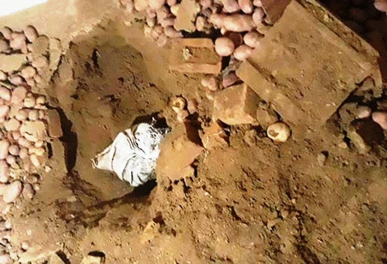 अठार किलो सुन: प्रहरी जवानको ससुरालीबाट बरामद