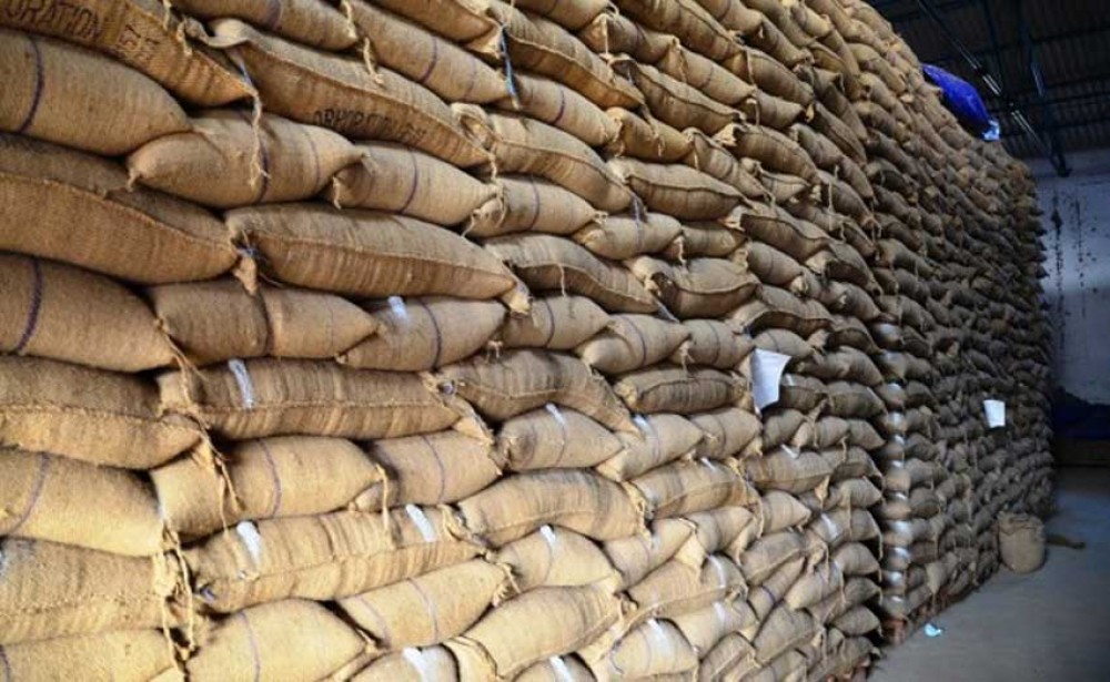 बोरामा बर्सेनी डेढ करोड ठग्छ खाद्य संस्थान