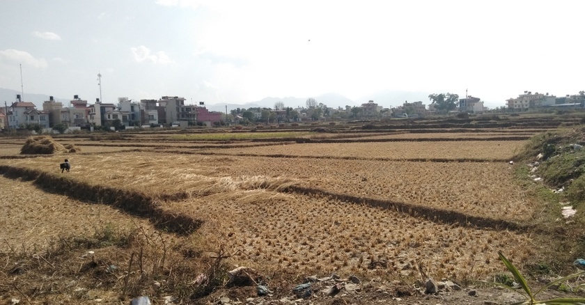 ३३ प्रतिशत घट्यो घरजग्गा कारोबार, किन्नेभन्दा बेच्ने धेरै