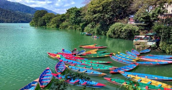 फेवातालमा डुबेकासहित ८ जनाको सकुशल उद्धार