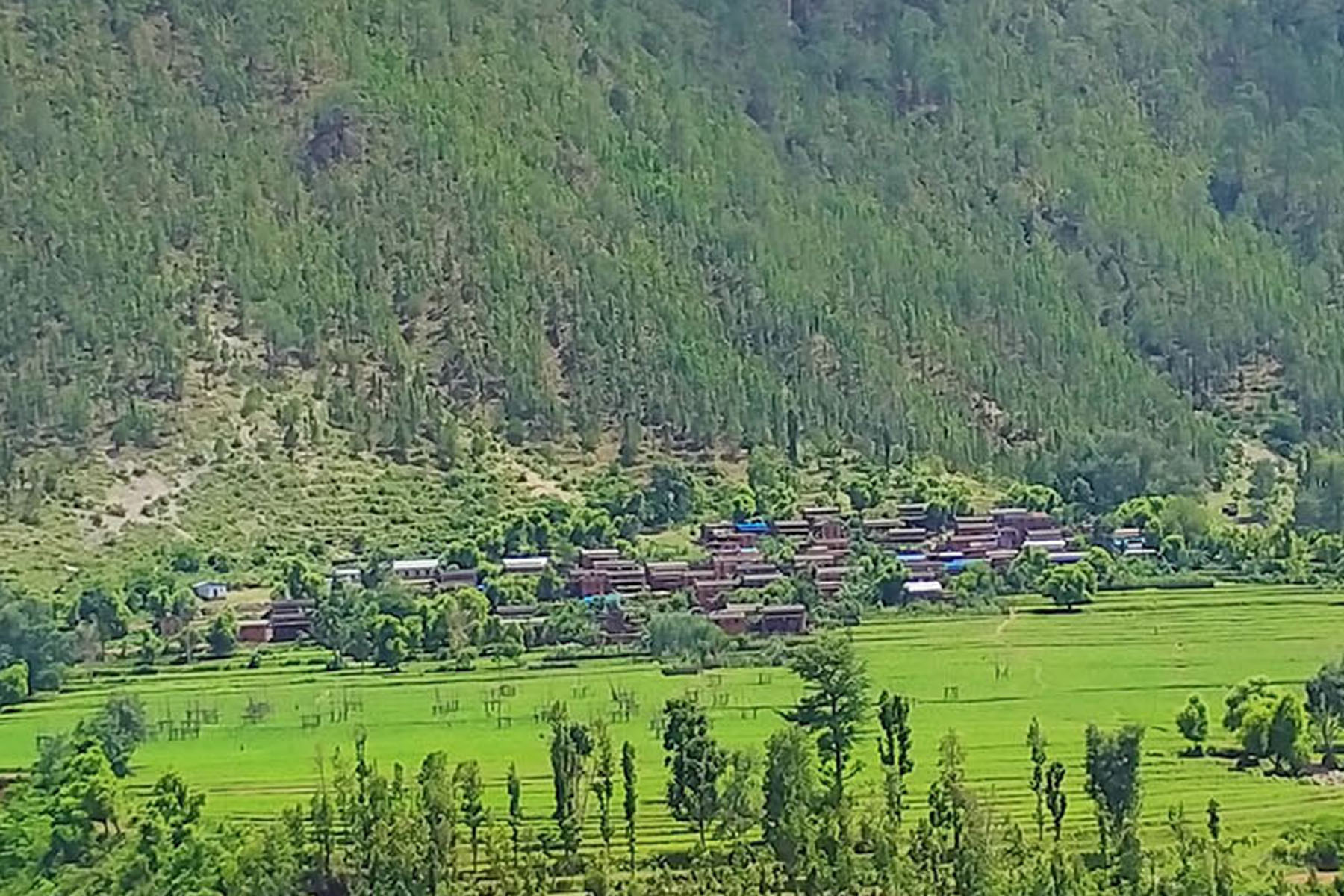 टाट्के राईरा बस्ती…