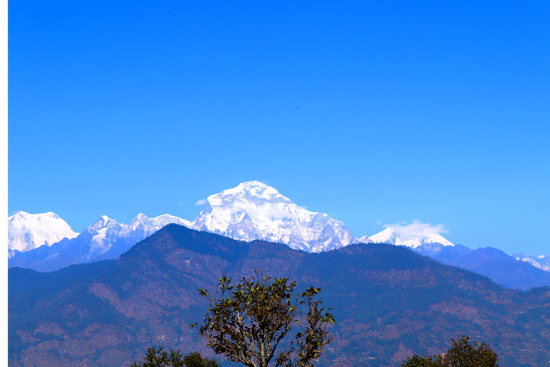 धौलागिरि हिमाल…