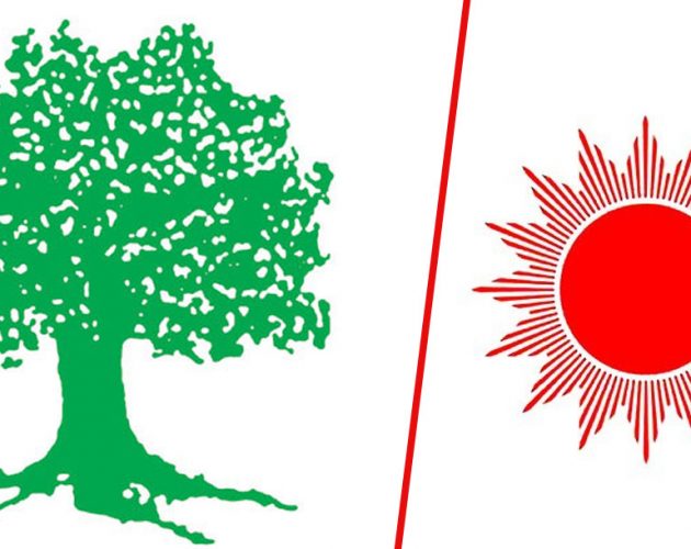 नेकपा एमालेपछि राप्रपा धनी, कांग्रेस घाटामा