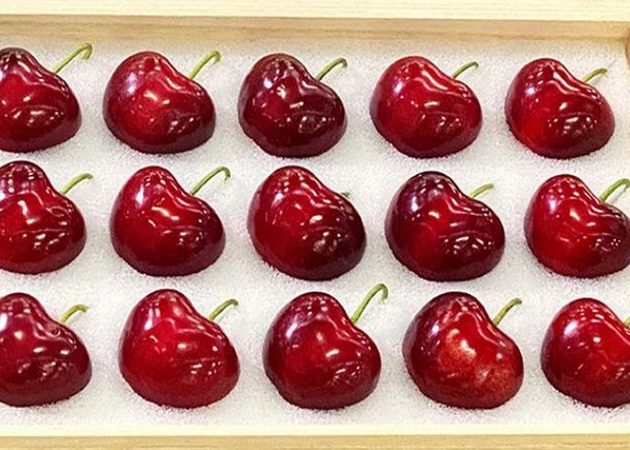 ३७ हजार रुपैयाँभन्दा धेरैमा विक्री भयो एक दाना चेरी