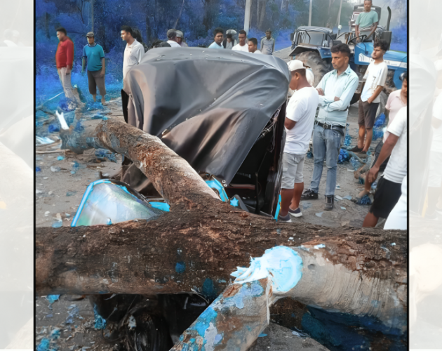 हावाहुरीले रुख ढल्दा च्यापिएर ३ जनाको मृत्यु, ७ घाइते