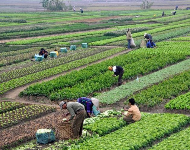 विदेशी कामदार आकर्षित गर्न ४७ वटै प्रान्तले खर्चिने भए साढे ५ अर्ब