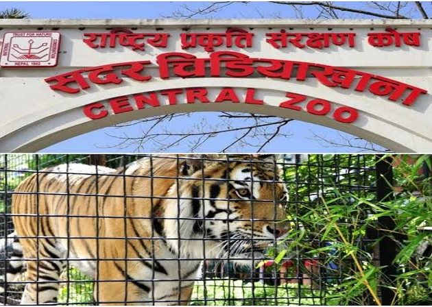 बर्डफ्लु नियन्त्रणपछि चिडियाखाना आजदेखि पुनः खुला