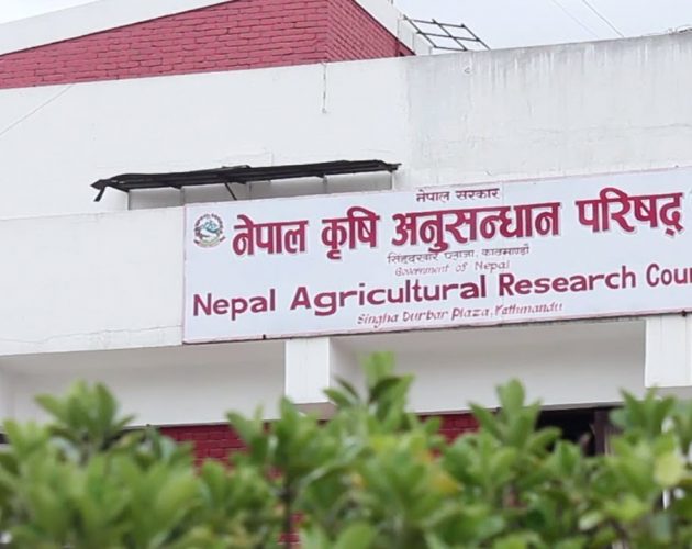किन टिकेनन् नार्कमा वैज्ञानिक ?